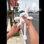 خرگوش بازی گوش💎زیورآلات بیوتی