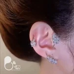 ایرکاف گندمی سیلور